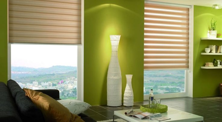 Office with Zebra Shades